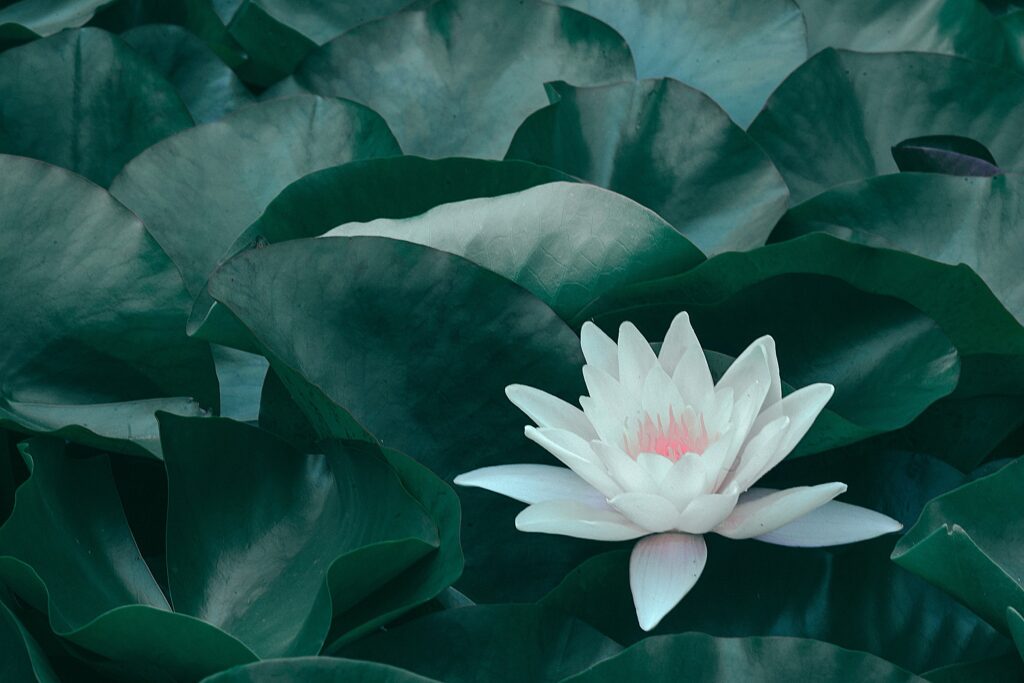 Come combattere lo stress Antonella Digilio Mindfulness