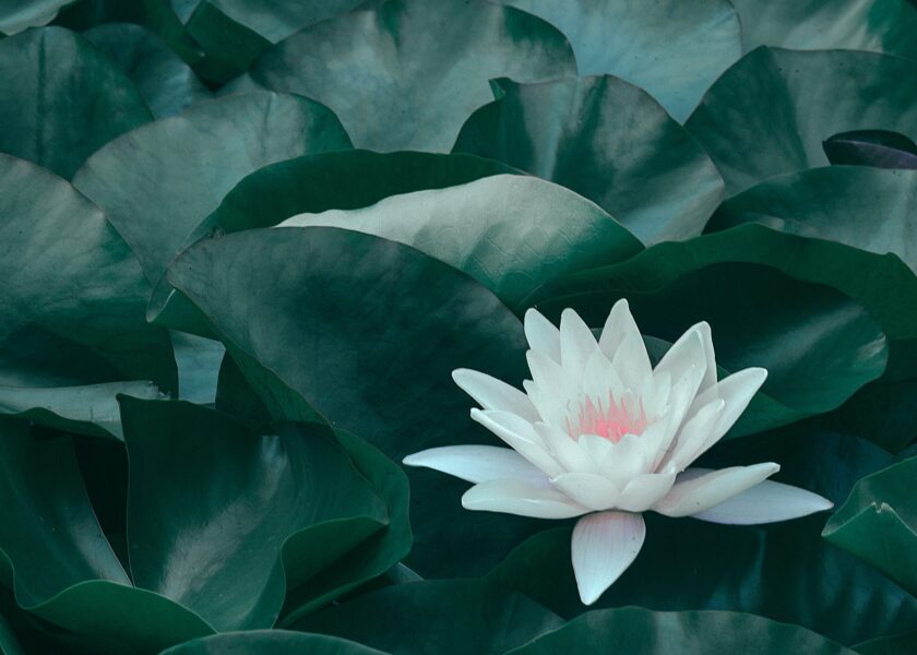 Come combattere lo stress Antonella Digilio Mindfulness