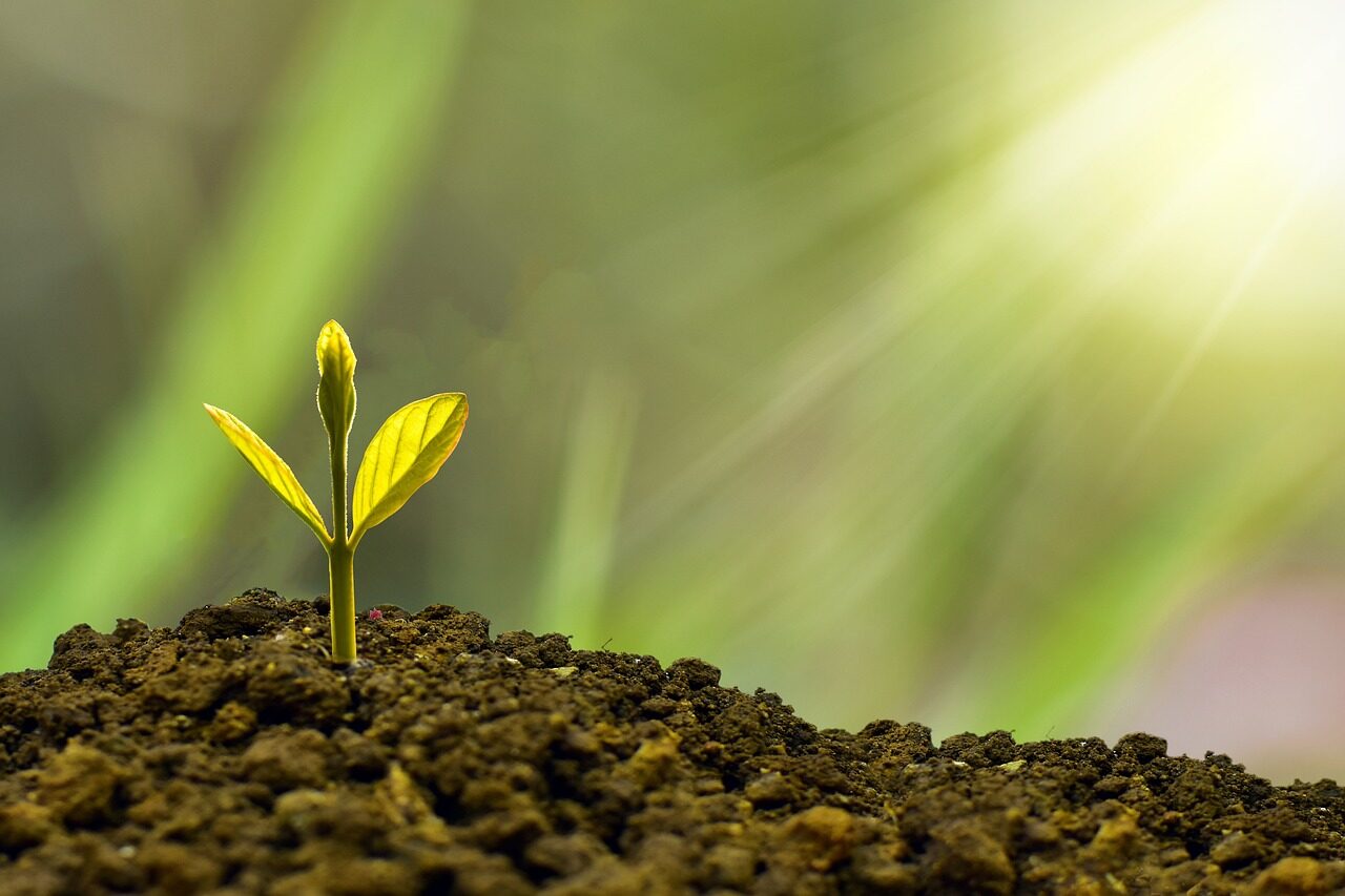 Raggiungi nuove vette di ispirazione e motivazione con il nostro percorso di crescita personale e mindfulness coaching