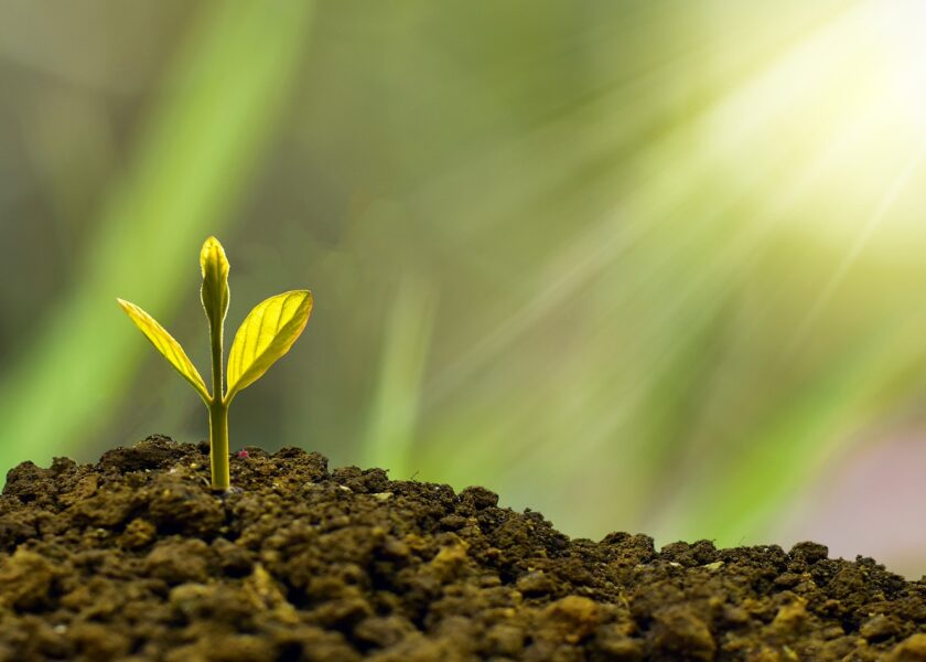 Raggiungi nuove vette di ispirazione e motivazione con il nostro percorso di crescita personale e mindfulness coaching