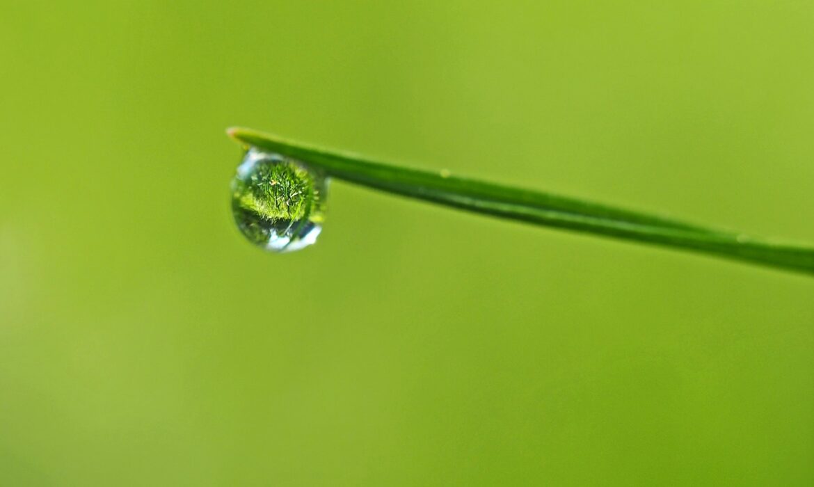 Un paesaggio tranquillo rappresenta la serenità interiore e la gentilezza verso se stessi.