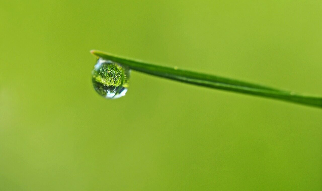 Un paesaggio tranquillo rappresenta la serenità interiore e la gentilezza verso se stessi.