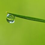 Essere gentili: Accettare Se Stessi per Chi si è