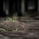 Riconoscere e Validare i Propri Bisogni