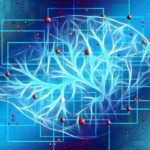Il Cambiamento Mentale: Come la Neuroplasticità Trasforma la Nostra Vita